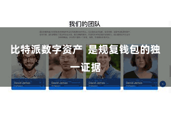 比特派数字资产 是规复钱包的独一证据