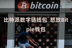 比特派数字链钱包 怒放Bitpie钱包
