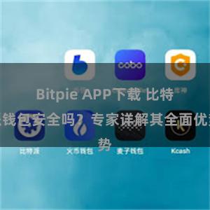 Bitpie APP下载 比特派钱包安全吗？专家详解其全面优势