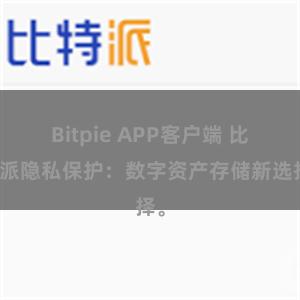 Bitpie APP客户端 比特派隐私保护：数字资产存储新选择。