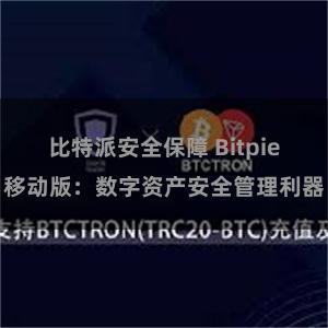 比特派安全保障 Bitpie移动版：数字资产安全管理利器