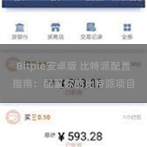 Bitpie安卓版 比特派配置指南：配置你的比特派项目